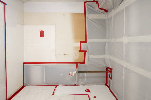 Biohazard Mold Removal in Skiatook, OK